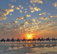 1 Hour Broome Sunset Camel Tour - Melbourne Tourism