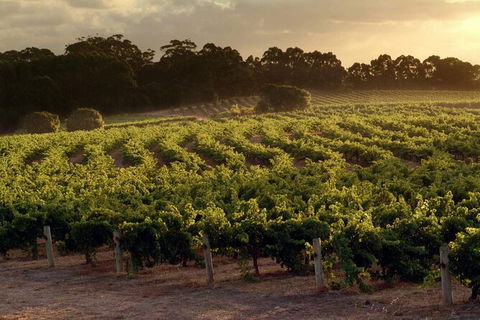 Margaret River Wineries, Caves, Ocean And Karri - Air & Ground Tour - Melbourne Tourism 4