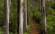 Margaret River Wineries, Caves, Ocean And Karri - Air & Ground Tour - thumb 3