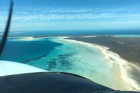 Monkey Mia Dolphins & Shark Bay Air Tour From Perth - Melbourne Tourism 1
