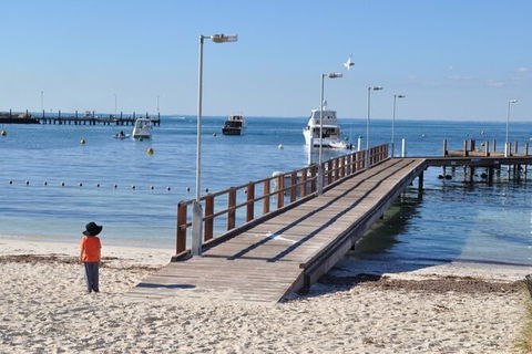 Monkey Mia Dolphins & Shark Bay Air Tour From Perth - Melbourne Tourism 10