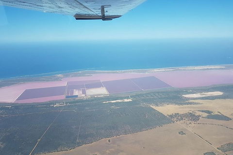 Monkey Mia Dolphins & Shark Bay Air Tour From Perth - Melbourne Tourism 6