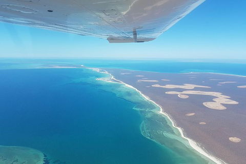 Monkey Mia Dolphins & Shark Bay Air Tour From Perth - Melbourne Tourism 3