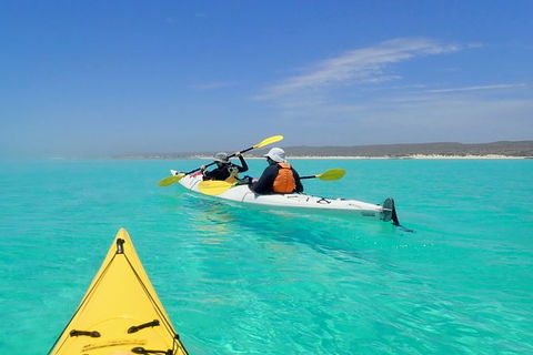 Lagoon Explorer - Ningaloo Reef Full-Day Kayaking And Snorkeling Adventure - Melbourne Tourism 7