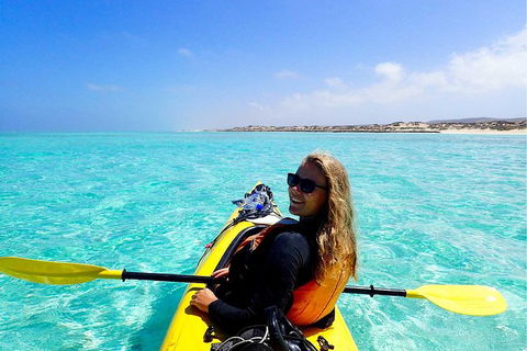 Lagoon Explorer - Ningaloo Reef Full-Day Kayaking And Snorkeling Adventure - Melbourne Tourism 2
