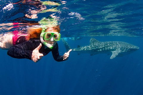 VIP Luxury Chartered Escapes, Exploring The Reef At Your Own Pace - Melbourne Tourism 20