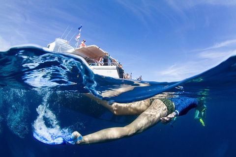 VIP Luxury Chartered Escapes, Exploring The Reef At Your Own Pace - Melbourne Tourism 40