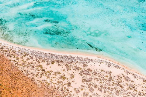 VIP Luxury Chartered Escapes, Exploring The Reef At Your Own Pace - Melbourne Tourism 4