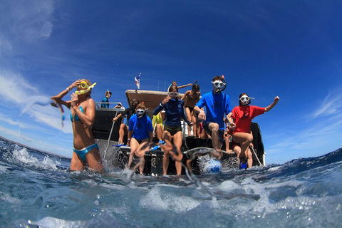 VIP Luxury Chartered Escapes, Exploring The Reef At Your Own Pace - Melbourne Tourism 17