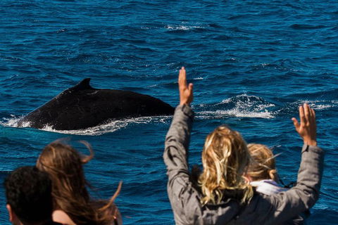 VIP Luxury Chartered Escapes, Exploring The Reef At Your Own Pace - Melbourne Tourism 21