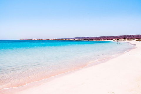 VIP Luxury Chartered Escapes, Exploring The Reef At Your Own Pace - Melbourne Tourism 45