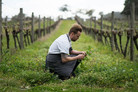 Vasse Felix Epicurean Tour And Tasting Experience With 5 Course Lunch - Melbourne Tourism 9