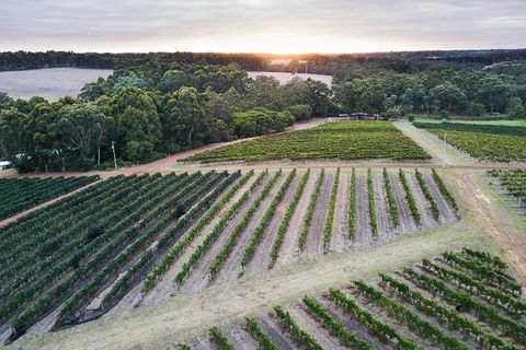 Vasse Felix Epicurean Tour And Tasting Experience With 5 Course Lunch - Melbourne Tourism 7