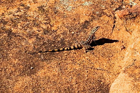 The Big Wave Rock (Private) Day Tour - Melbourne Tourism 4