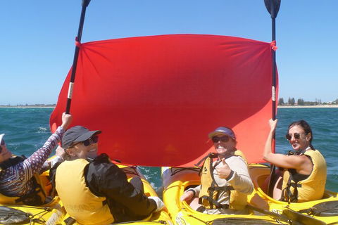 Seal Island And Penguin Island Or Point Peron Sea Kayak Tour - Melbourne Tourism 2