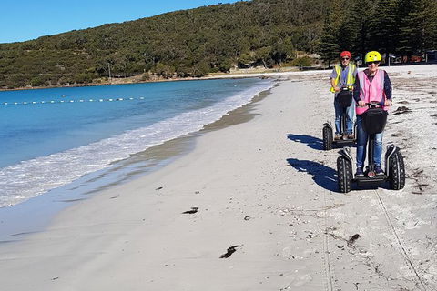 Albany Summit To Sea Adventure - Guided Segway Tour - Melbourne Tourism 1