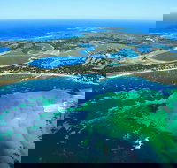 Full Day by Seaplane to Rottnest Island Small Group Trip - Melbourne Tourism