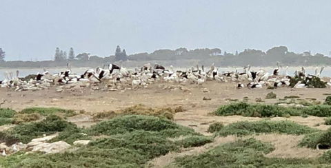 4WD Adventure And Scenic Tours From Perth Or Fremantle - Melbourne Tourism 4