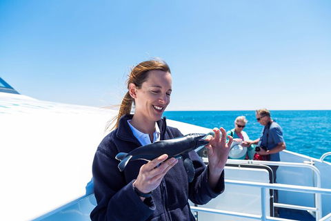 Whale-Watching Cruise And Hillarys Boat Harbour Day Trip From Perth - Melbourne Tourism 6