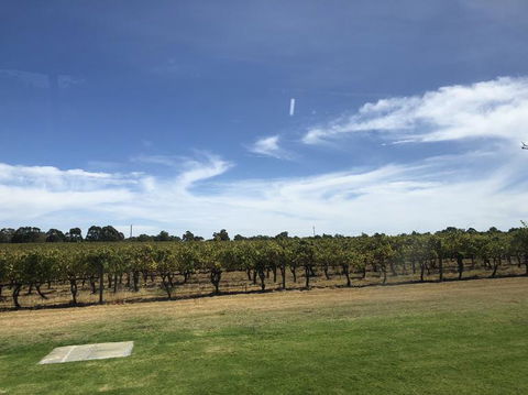 Swan Valley River Cruise And Wine Tasting Day Trip From Perth - Melbourne Tourism 10