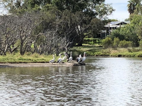 Swan Valley River Cruise And Wine Tasting Day Trip From Perth - Melbourne Tourism 3