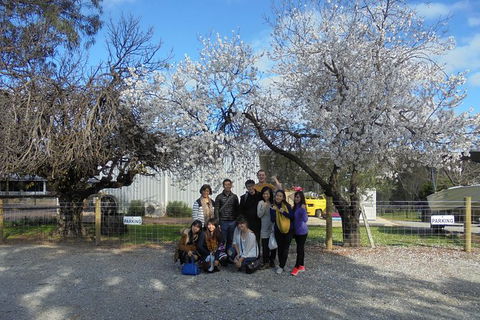 Swan Valley River Cruise And Wine Tasting Day Trip From Perth - Melbourne Tourism 15