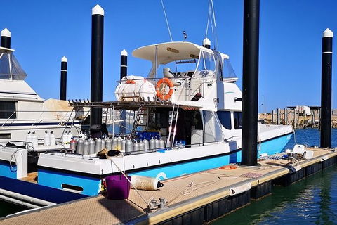 Muiron Island Dive & Snorkel Tour - Melbourne Tourism 7