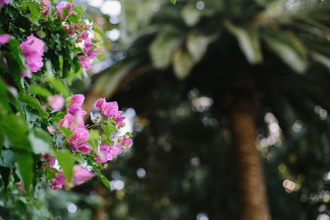 Wanneroo Botanic Gardens: Devonshire Tea And Garden Self Guided Tour - Melbourne Tourism 1