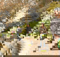 Perth East Foreshore and City Segway Tour - Melbourne Tourism