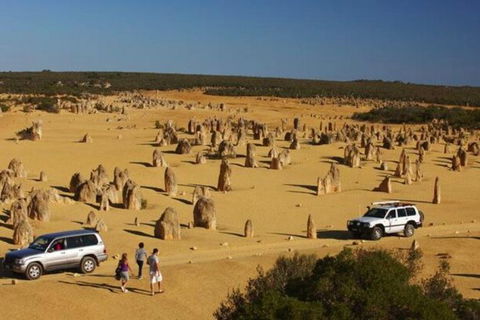 1-Day Pinnacles And Yanchep Tour From Perth Including Fish And Chips Lunch - Melbourne Tourism 2