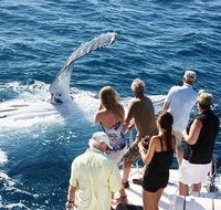Half-Day Whale Watching Sunset Cruise from Broome - Melbourne Tourism