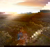 Leeuwin Estate Food and Wine Experience - Melbourne Tourism