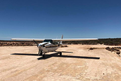 Kalbarri Gorges & West Coast - Ground & Air Tour - Melbourne Tourism 6