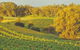 Swan Valley Private Tour - thumb 0