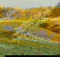 Swan Valley Private Tour - Melbourne Tourism