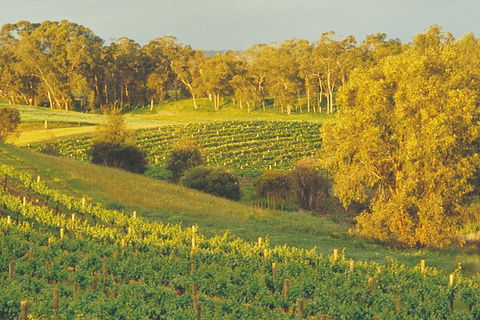 Swan Valley Private Tour - Melbourne Tourism 0