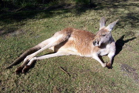 Swan Valley Private Tour - Melbourne Tourism 4