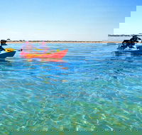 Turtle Tour - Ningaloo Reef Half Day Sea Kayak and Snorkel Tour - Melbourne Tourism