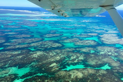 Kalbarri, Pink Lake And Abrolhos Islands Nature Tour - Melbourne Tourism 5