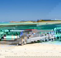 Penguin Island and Caversham Wildlife Park Day Trip From Perth - Melbourne Tourism