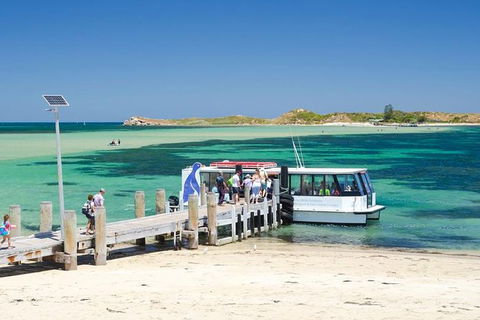 Penguin Island And Caversham Wildlife Park Day Trip From Perth - Melbourne Tourism 0