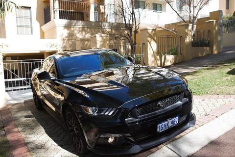 Wineries And Wildlife - With Mustang V8 Fastback - Melbourne Tourism 0