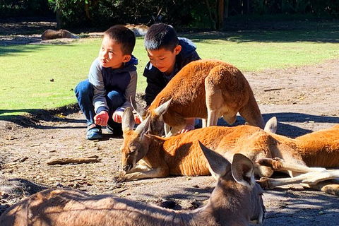 Perth Kids Explorer (Private) Day Tour - Melbourne Tourism 1