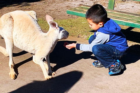 Perth Kids Explorer (Private) Day Tour - Melbourne Tourism 8