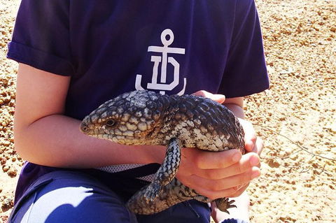 Perth Kids Explorer (Private) Day Tour - Melbourne Tourism 13