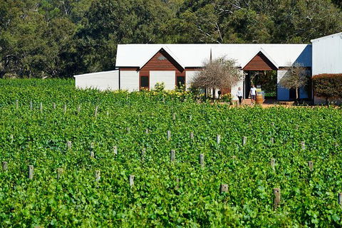 Wine 101- Wine Education Classes - Melbourne Tourism 5