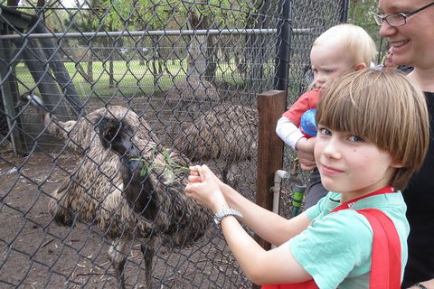 Swan Valley Half-Day Food Tour And Wine Trail From Perth - Melbourne Tourism 6