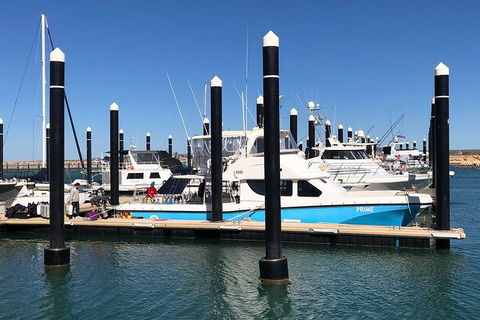 Scuba Dive Ningaloo Reef - Melbourne Tourism 7