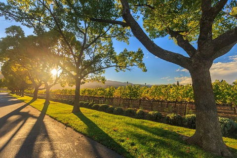 VIP Swan Valley Wine Tour - Premium Small Group Wine & Gourmet Experience - Melbourne Tourism 5