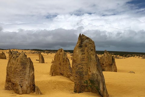 Private Pinnacles Day Tour - Melbourne Tourism 7